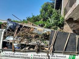 Best Construction Debris Removal  in Mount Plymouth, FL